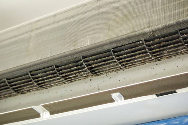 Best Air Duct Cleaning Near Me  in Tiffin, OH