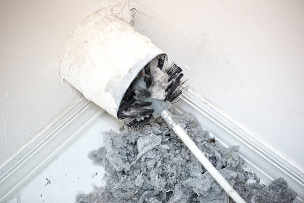 Best Air Vent Cleaning Services  in Tiffin, OH